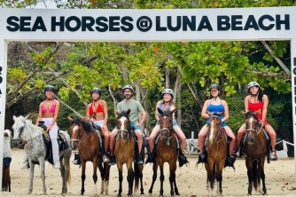 Roatan Horseback Riding – Beach, Jungle & Resort Pass